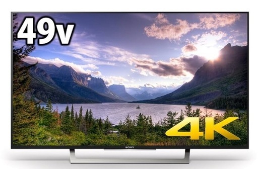ソニー 49V型 液晶 テレビ ブラビア KJ-49X8300D 4K