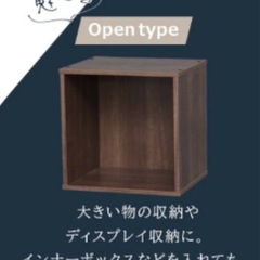 ✨新品✨IRIS カラーキュービックの画像