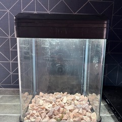 水槽　NISSO　熱帯魚　爬虫類　ライト付き　の画像