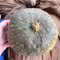 【取引中】久万高原産　カボチャ　2個　B級　の画像