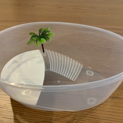 たまご型　亀飼育ケースの画像