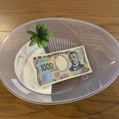 たまご型　亀飼育ケースの画像