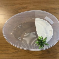 たまご型　亀飼育ケースの画像