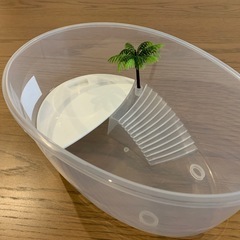 たまご型　亀飼育ケースの画像