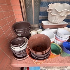 プランターや鉢　の画像