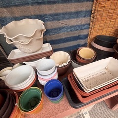 プランターや鉢　の画像