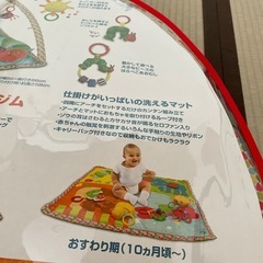 はらぺこあおむし　プレイジム　おもちゃ9点の画像