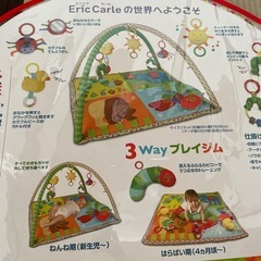 はらぺこあおむし　プレイジム　おもちゃ9点の画像