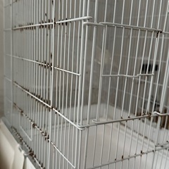 小動物 ケージ SANKO 37ハイの画像