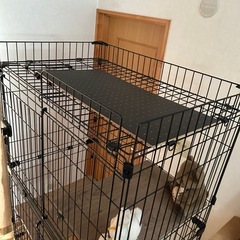 お話し中　キャットケージ　4階建て　アイリスオーヤマ　保護猫用にの画像
