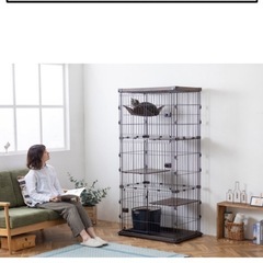お話し中　キャットケージ　4階建て　アイリスオーヤマ　保護猫用にの画像