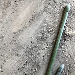 只今商談中につき受付しておりませんの画像