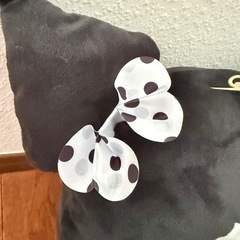 🎃新品未使用🎃クロミ　超ビックぬいぐるみ　サンリオ　ハロウィン　ドクロの画像