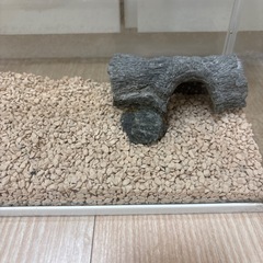 水槽と砂利の画像