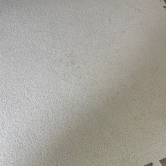 使用済みフロアマットの画像