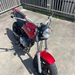 ホンダ　エイプ50ccの画像