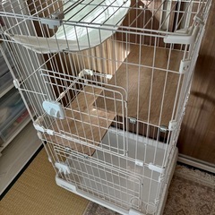 【ハンモック付き】 猫ケージ 2段／短期使用品
の画像