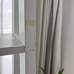 棚の画像