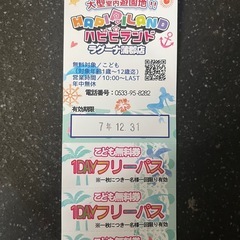 ハピピランドラグーナ蒲郡大人子どもチケットの画像