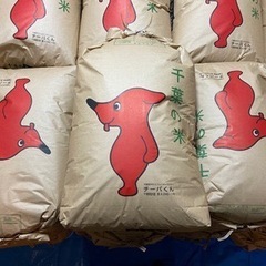 【新米】令和7年度千葉県野田市産コシヒカリ玄米30kg【先着順】2袋限定の画像