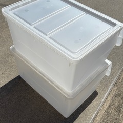 プラケース大　2個　バラ売り可能の画像