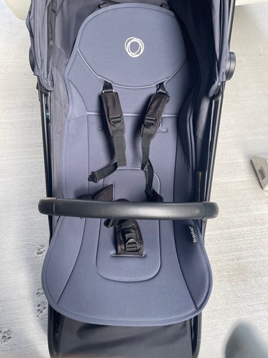 バガブーバタフライ