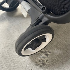 バガブーバタフライの画像