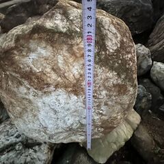 庭石　複数個の画像