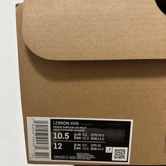 ☆NIKE ナイキ LEBRON 18 レブロン 18 28.5cm☆の画像