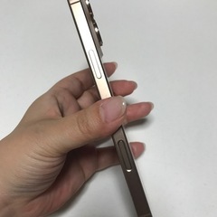 Apple iPhone 16 Pro Max デザートチタニウムの画像