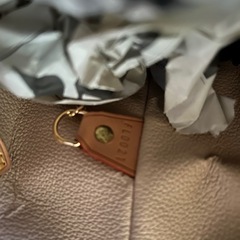 Louis Vuitton バケットバッグ ダークブラウンの画像