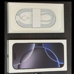 【美品】iPhone16ProMax 256GB デザートチタニウム 　9ケ月　使用　AppleCare加入　バッテリー100%の画像