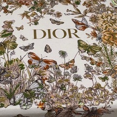 DIORのケースと紙袋の画像