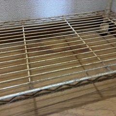 白ラックの画像
