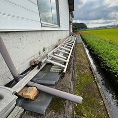 アルミハシゴ　伸縮ハシゴ　軽い　ハシゴの画像