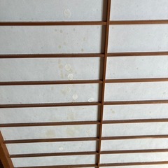 障子　1件分の画像