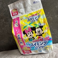スイミング用オムツ　12枚　Lの画像