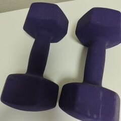 ダンベル10キロの画像
