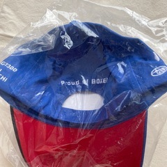 帽子 1点300円の画像