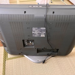 
テレビの画像
