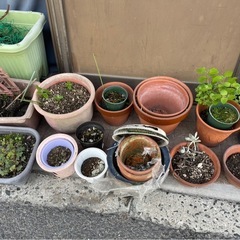 ◆早い方優先‼︎ プランター プラスチック 陶器 など お庭 土 植物の画像
