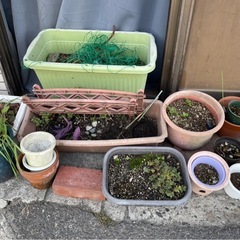 ◆早い方優先‼︎ プランター プラスチック 陶器 など お庭 土 植物の画像