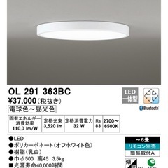 2020年製オーデリック製照明 OL291363BCの画像