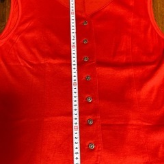 PINORE ピノーレ　朱色ベストの画像