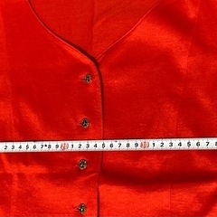 PINORE ピノーレ　朱色ベストの画像