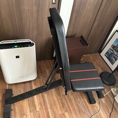FLYBIRD トレーニングベンチ インクラインベンチ 可変式フラットベンチ アジャスタブル 角度調節簡単 組立不要 折りたたみ式 収納便利 シットアップ 耐荷重270KG 筋トレ 家庭用の画像
