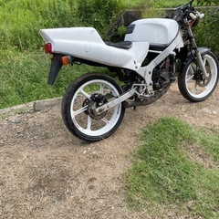 ホンダ　NS1レストアベース中古の画像