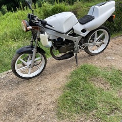 ホンダ　NS1レストアベース中古の画像