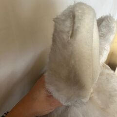 ウサギ　ぬいぐるみの画像