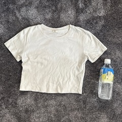 GUショートTシャツの画像
